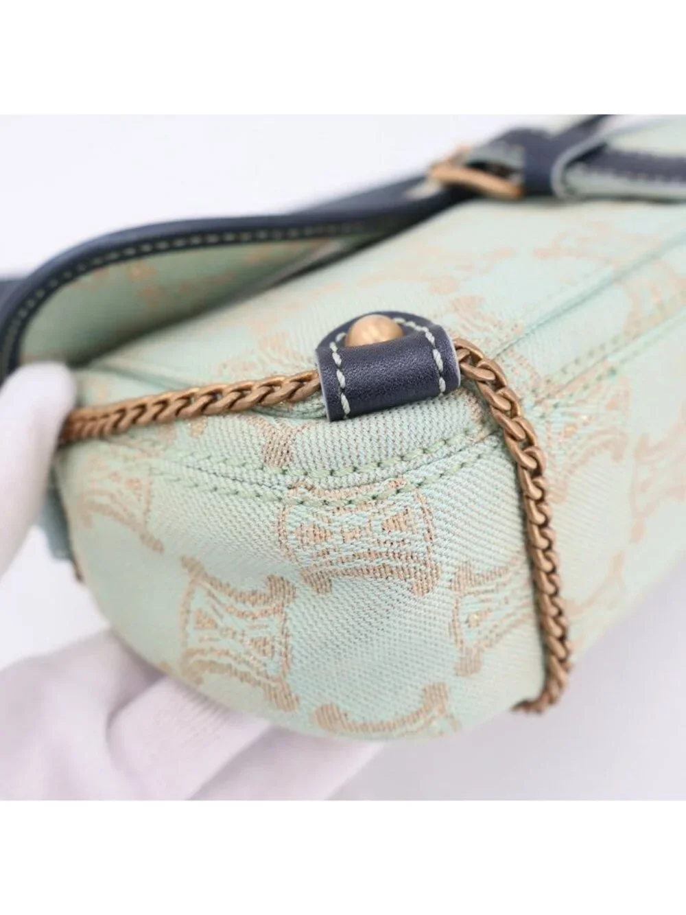 Celine Pouch Blue